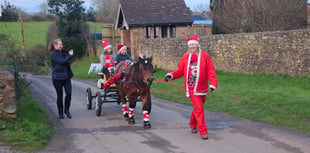 Famous Dartmoor pony raises money with festive tour of town 